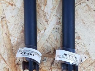 Амортизатор заднего борта BMW X5 E70 2007, 3.0 л., M57 306 D3, дизель, АКПП, внедорожник 5 дв., полный привод, правый руль, 51247149631, 7149631