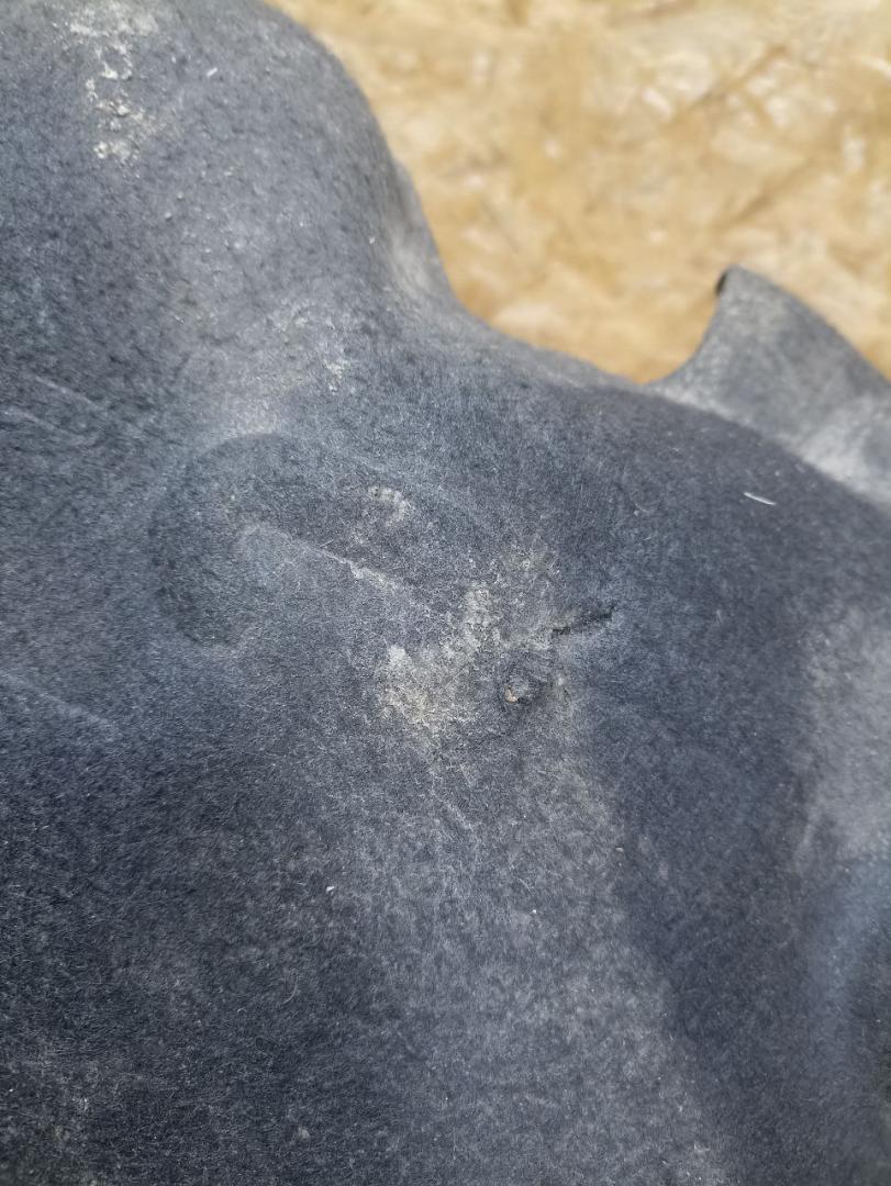 защита арок задняя левая (подкрылок) BMW 3 серия E90/E91/E92/E93 E93 2007, 3.0 л., M57 306 D3, дизель, АКПП, кабриолет, задний привод, правый руль, 51717154413, 7154413 - фото №1