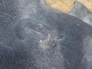 защита арок задняя левая (подкрылок) BMW 3 серия E90/E91/E92/E93 E93 2007, 3.0 л., M57 306 D3, дизель, АКПП, кабриолет, задний привод, правый руль, 51717154413, 7154413