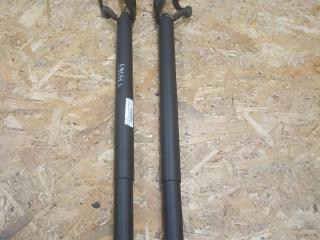 амортизатор крышки багажника (3-5 двери) BMW X2 F39 2018, 2.0 л., дизель, АКПП, misano-blau metallic, внедорожник 5 дв., полный привод, правый руль, 7423847, 51247423847, 51249465654, 9465654