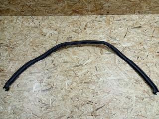 уплотнитель подкапотного пространства BMW 6 серия E63/E64 [рестайлинг] E63 2007, 3.0 л., M57 D30 (306D5), дизель, АКПП, купе, задний привод, правый руль, 51767008797, 7008797