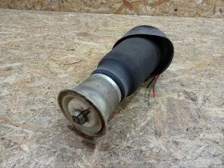 пневмоподушка BMW X5 E70 2008, 3.0 л., дизель, АКПП, серый, внедорожник 5 дв., полный привод, правый руль, 37126790080, 6790080, 37126776995, 6776995