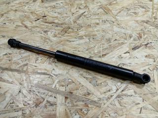 амортизатор пола багажника BMW X5 E70 2008, 3.0 л., дизель, АКПП, серый, внедорожник 5 дв., полный привод, правый руль, 9149120, 51479149120, 51476980060, 6980060