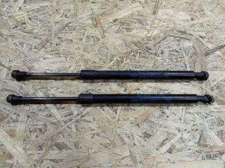 амортизатор крышки багажника (3-5 двери) BMW 3 серия E90/E91/E92/E93 [рестайлинг] E90 2008, 3.0 л., N53 B30, бензин, МКПП, серый, седан, задний привод, правый руль, 7060623, 51247060623, 51247250308, 7250308, 51244394052, 4394052, 51244365788, 4365788