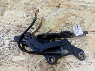 петля капота левая BMW 3 серия E90/E91 [рестайлинг] E90N 2011, 2.0 л., N47 D20 C, дизель, АКПП, седан, задний привод, правый руль, 7115263, 41617210677, 7210677, 41618045403, 8045403, 41617131751, 7131751