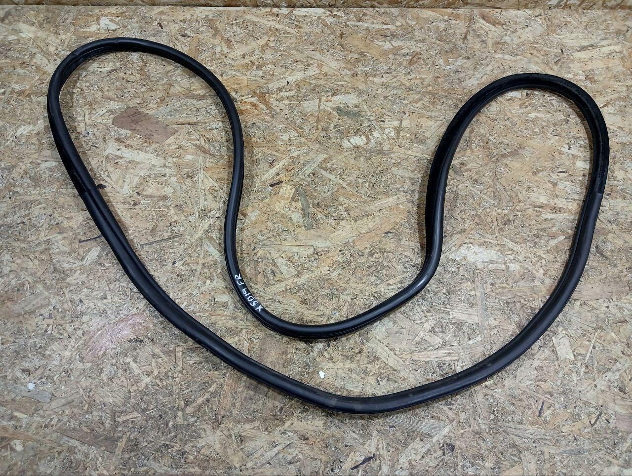 уплотнитель двери BMW X5 E70 2008, 3.0 л., дизель, АКПП, серый, внедорожник 5 дв., полный привод, правый руль, 51727333607, 7333607, 51727234934, 7234934, 4879468 - фото №1