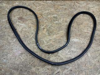 уплотнитель двери BMW X5 E70 2008, 3.0 л., дизель, АКПП, серый, внедорожник 5 дв., полный привод, правый руль, 51727333607, 7333607, 51727234934, 7234934, 4879468