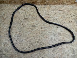 уплотнитель двери BMW X6 E71 [рестайлинг] 2012, 3.0 л., дизель, АКПП, белый, внедорожник 5 дв., полный привод, правый руль, 7305620, 51727333606, 7333606, 51727234937, 7234937, 51727046389, 7046389