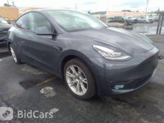 Tesla Model Y 1 поколение