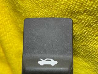 ручка открывания капота Chevrolet Trax 1 поколение [рестайлинг] 2023, 1.2 л., бензин, синий, внедорожник 5 дв., передний привод