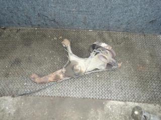 рычаг задний правый Volkswagen Multivan T5 2004, 2.5 л., дизель, МКПП, микроавтобус, 7H0501414D