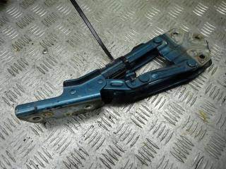 петля капота Volkswagen Touran 1 поколение 2005, 2.0 л., дизель, АКПП, минивэн, 1T0823302, 1T0823301