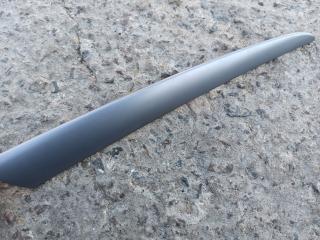 молдинг двери задней правой BMW X5 E53 [рестайлинг] 2005, 3.0 л., M57 D30 (306D2), дизель, АКПП, внедорожник 5 дв., 8265480