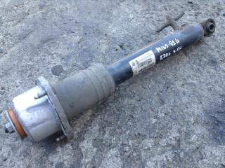 амортизатор задний левый BMW X5 E70 2007, 3.0 л., M57 D30 (306D3), дизель, АКПП, внедорожник 5 дв., 6751923