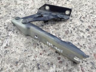 петля капота левая BMW 5 серия E60/E61 2006, 3.0 л., M57 D30 (306D4), дизель, АКПП, синий, седан