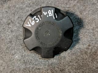 пробка расширительного бачка BMW X5 E70 2009, 4.8 л., N62 B48 A, бензин, АКПП, внедорожник 5 дв.