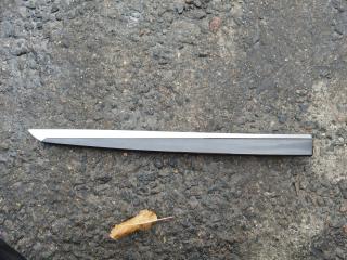 молдинг двери задней правой BMW 2010, 7225530