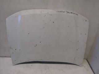 капот Chevrolet TrailBlazer 1 поколение (2001 - 2009), белый, 12478013