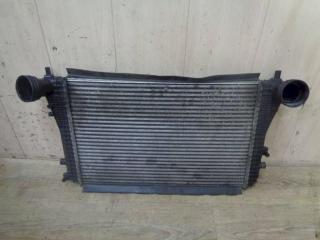 интеркулер Volkswagen Passat B6 2006, 3C0145805P