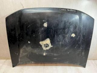 капот Chevrolet TrailBlazer 1 поколение (2001 - 2009), 12478013