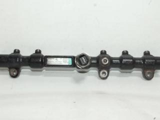 топливная рампа SsangYong Rexton 1 поколение [рестайлинг] (2003 - 2008), 2.7 л., XDI, дизель, 6650700495