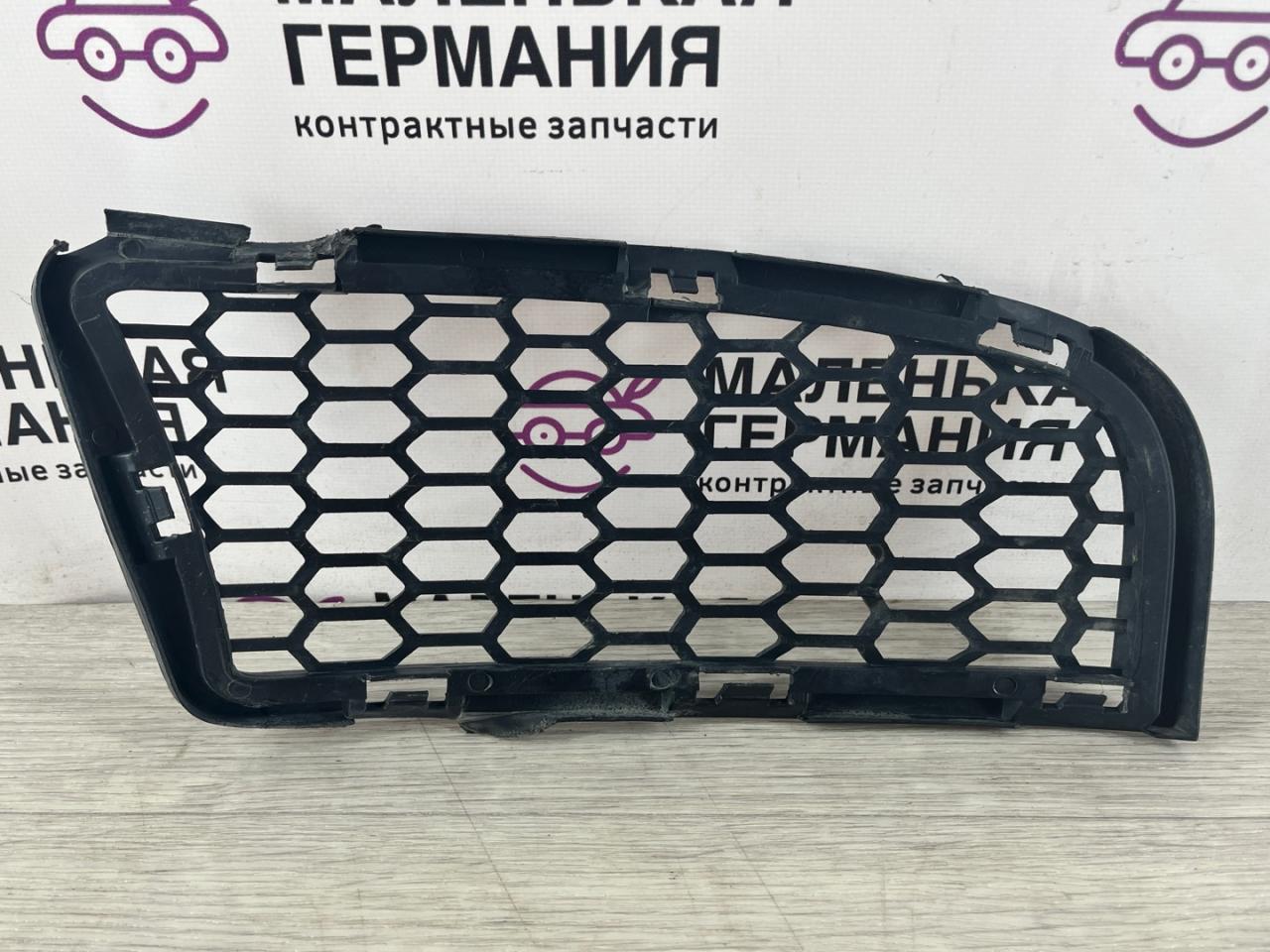 заглушка (решетка) в бампер - фото №1