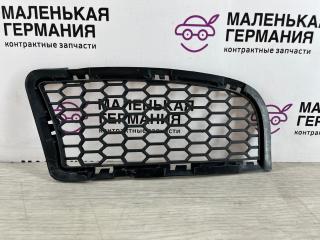 заглушка (решетка) в бампер 