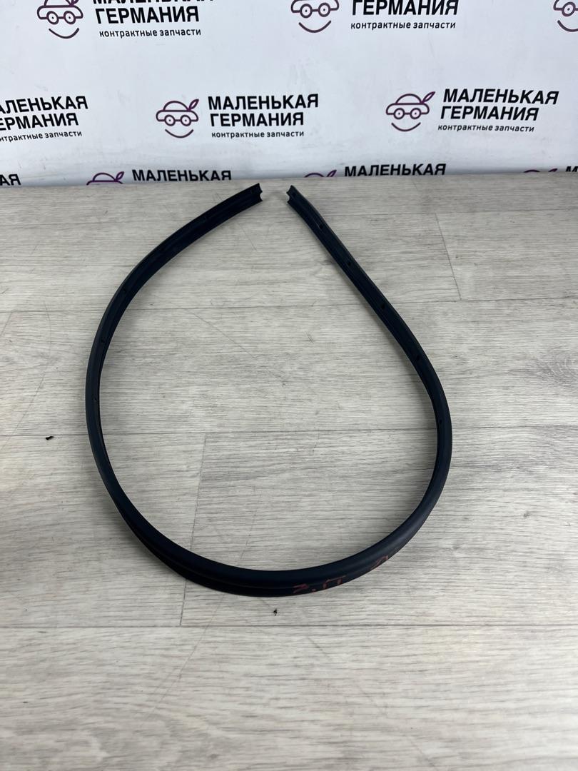 молдинг двери задней правой BMW 5 серия G30/G31 (2016 - 2020), 3.0 л., B58 B30 A, бензин, полный привод, 51727341648, 7341648 - фото №1