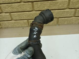 патрубок радиатора Volkswagen Golf 4 поколение 1998, 1.4 л., AKQ, бензин, МКПП, хетчбэк 5 дв., 1J0121619