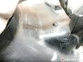 фара левая Mazda 323 4 поколение 1993, 11061308, 11061308L, 0288085 - фото №5