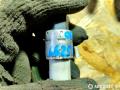 датчик кондиционера Ford Focus 2 поколение 2005, 95BW19E561AA, 1016565 - фото №4