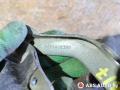 петля капота правая Citroen C5 1 поколение 2004, 2.2 л., дизель, МКПП, 9629468380, 9636025977 - фото №4