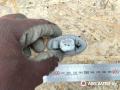фонарь салона (плафон) Peugeot 406 1 поколение [рестайлинг] 2003, 2.0 л., дизель, АКПП, универсал - фото №3