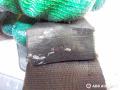 ремень безопасности Peugeot 607 1 поколение 9D 2004, 2.2 л., дизель, МКПП, E2049024, 5503407XX - фото №4