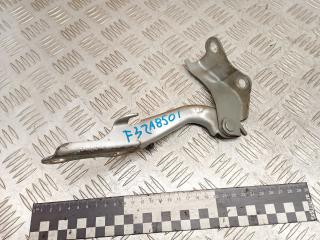 петля капота правая Toyota RAV4 2 поколение (XA20) [рестайлинг] 2005, 2.0 л., дизель, МКПП