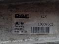 интеркулер DAF XF 105 1 поколение 2008, грузовик, CI253000P, 97059, 8ML376756101, L0807002, 30200, 1691392, 1691394, L0804000 - фото №5