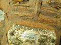 компрессор пневмоподвески IVECO EuroCargo 1 поколение 1996, 504016815, LK3840, SEB01819, K002141X00, K002141 - фото №7