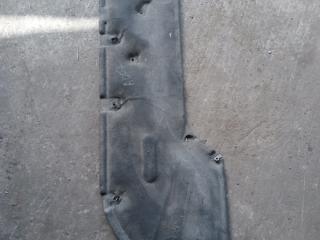 тепловой экран моторного отсека MAN TGS 1 поколение 2017, 12.4 л., D 2676 LF 51, дизель, АКПП, белый, правый руль, 81192200977