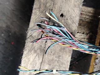 проводка DAF XF 106 1 поколение 2019, MX-13, АКПП, белый, правый руль, 1901018