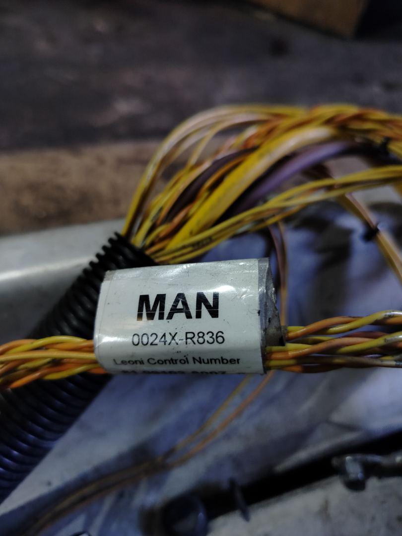 проводка двигателя MAN TGX 1 поколение 2018, 12.4 л., D 2676 LF 51, дизель, АКПП, белый, правый руль, 81991038007 - фото №1