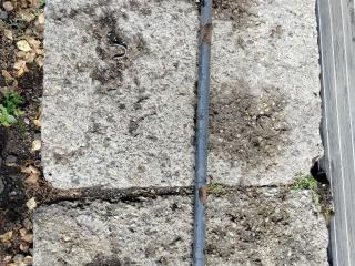 стабилизатор подвески передний DAF XF 106 1 поколение 2014, MX-13, МКПП, белый, грузовик, 1849365