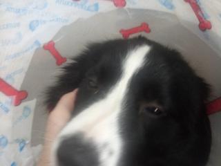 DVD Aston Martin 2000, универсал