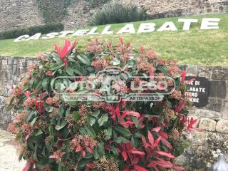 датчик ABS BMW 3 серия E21 1981