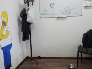 бампер передний BMW X1 E84 2010