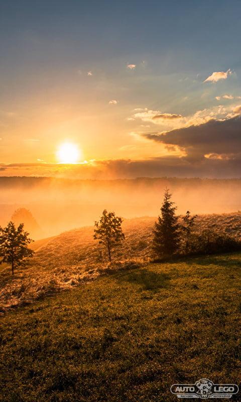 дифференциал BMW 1 серия E81/E82/E87/E88 (2004 - 2007), 1.5 л., дизель - фото №1