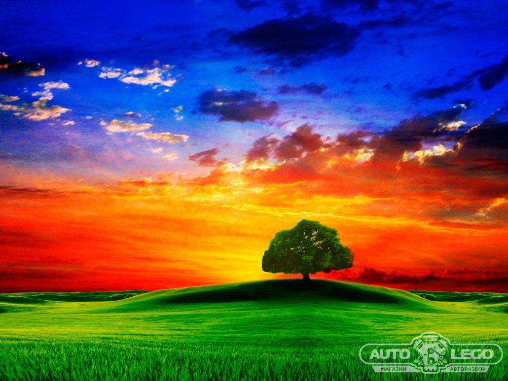 cайлентблок BMW 1 серия E81/E82/E87/E88 (2004 - 2007), 1.5 л., дизель - фото №1