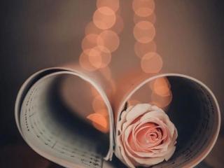 combox BMW 1 серия E81/E82/E87/E88 (2004 - 2007), 1.5 л., дизель