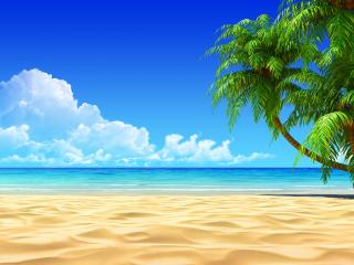 Bluetooth антенна BMW 1 серия E81/E82/E87/E88 (2004 - 2007), 1.5 л., дизель