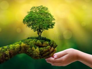 бачок гидроусилителя BMW 3 серия E30 (1982 - 1987)