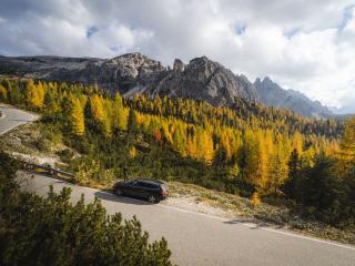 cайлентблок BMW 3 серия E30 (1982 - 1987), МКПП